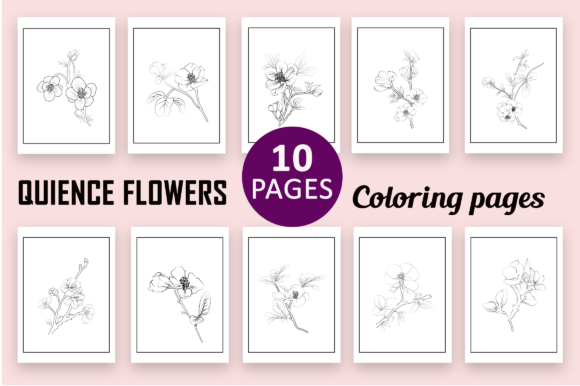 Quience Flowers Coloring Page and Books: Versatile Ivy Design